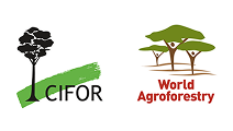 CIFOR-ICRAF